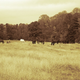 Illustration for article titled Shooting Challenge Gallery: Duotone I